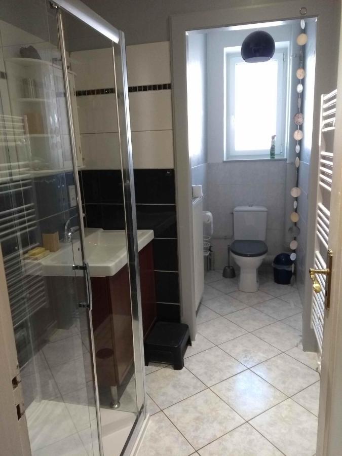 Cosy Appartement La Bresse Centre Ville 外观 照片